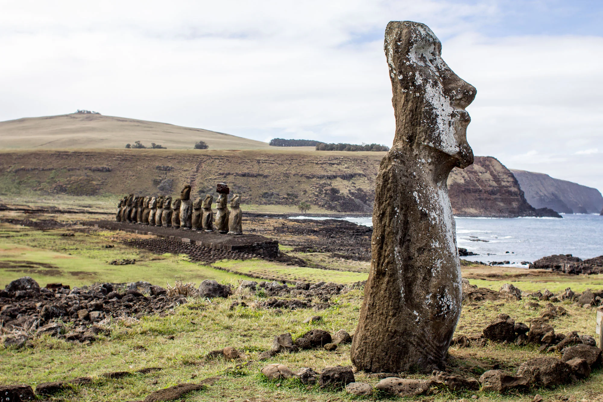 Rapa_Nui__MG_1379©IBA-SPECKER.jpg