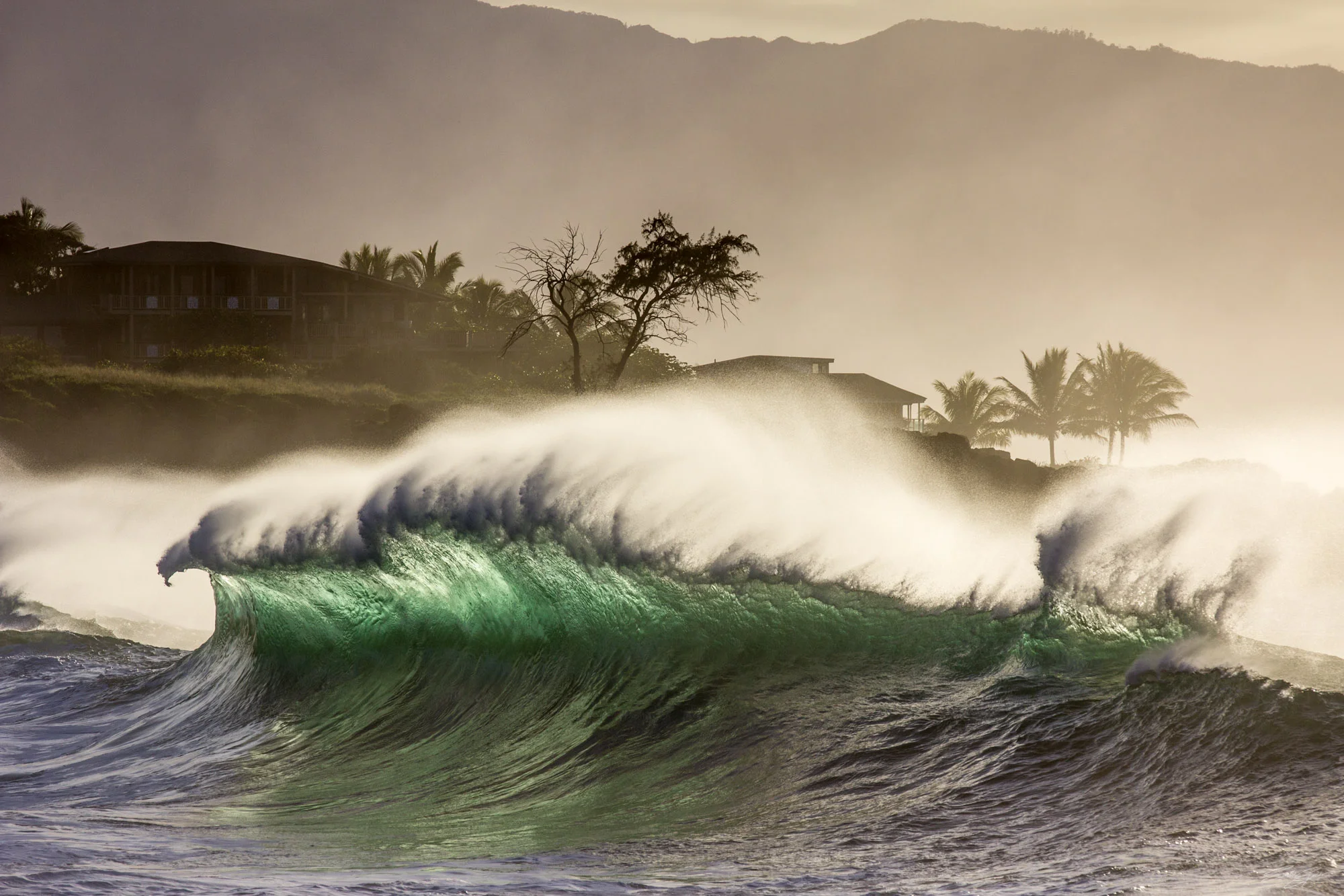Waimea_HawaiiIMG_7463_©SPEX.jpg