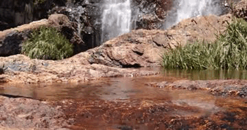 7DB9CF9B-3821-4261-B686-0C13F051A122.GIF