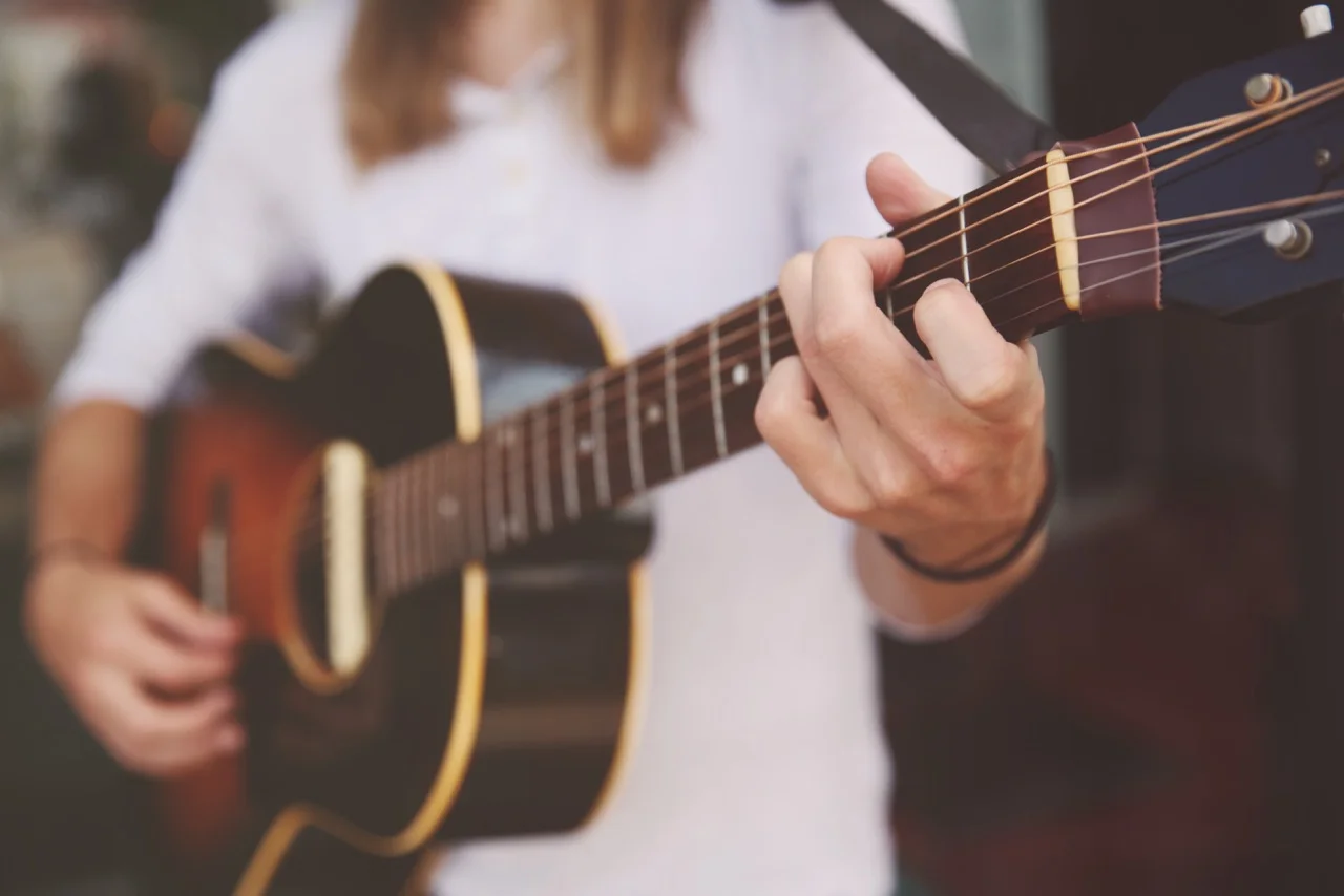 028_stray_local_2017justguitar.jpg