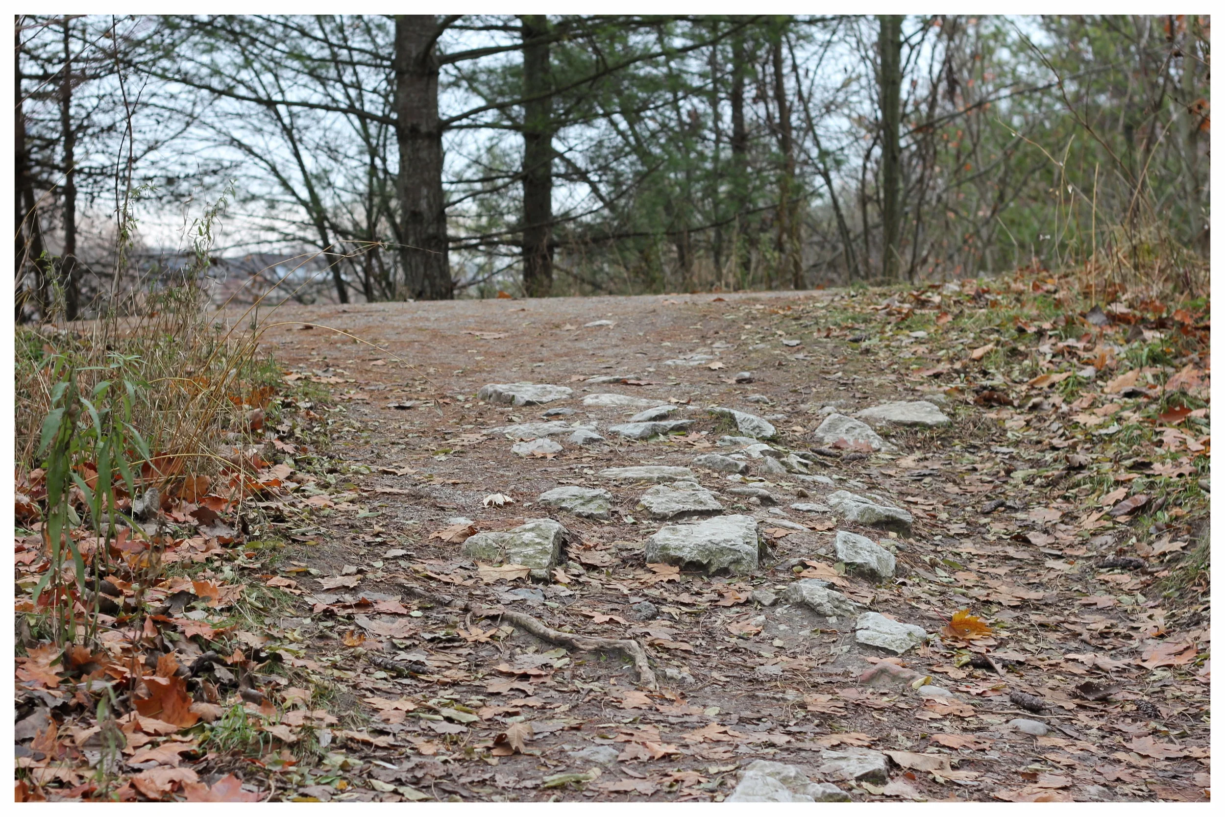 HillsTrail