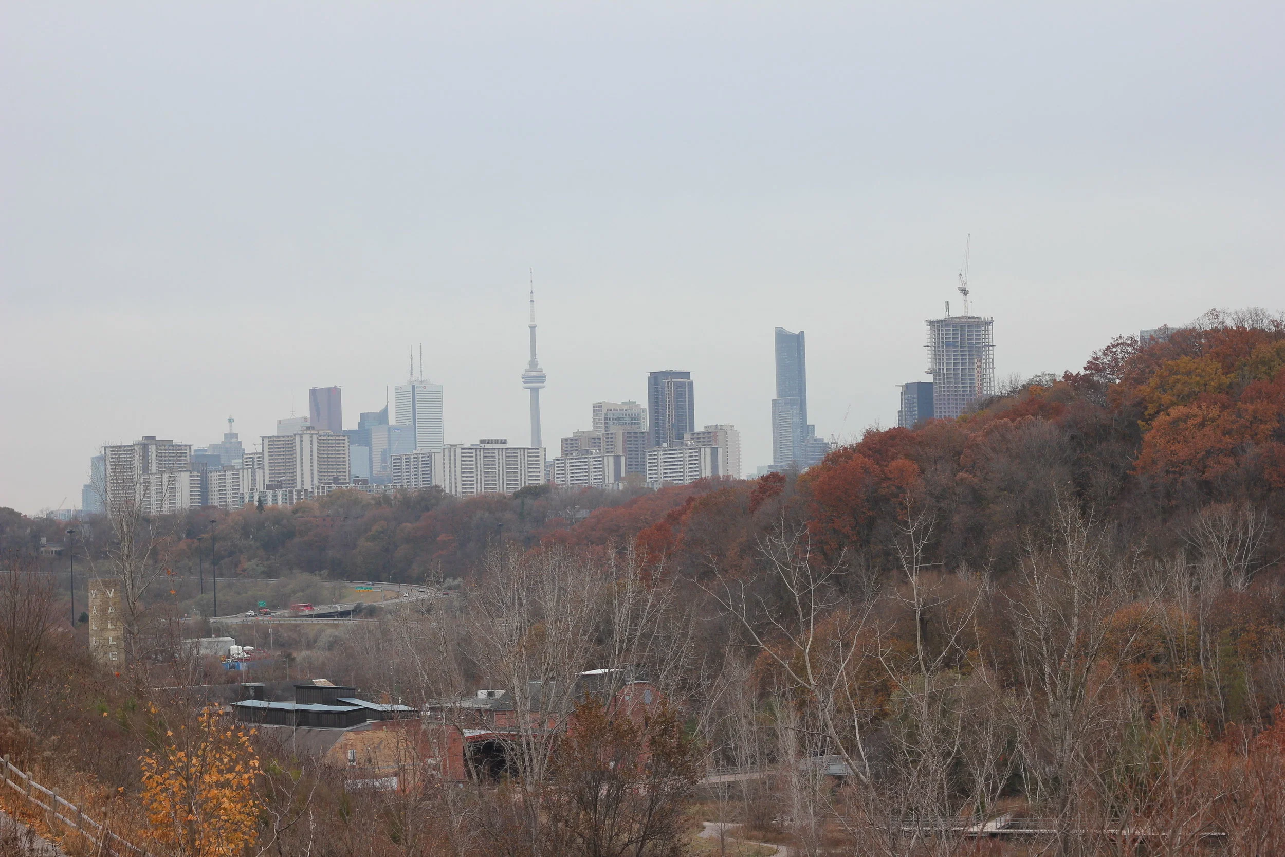 Megs Rediscovers Toronto: School Field Trip Edition