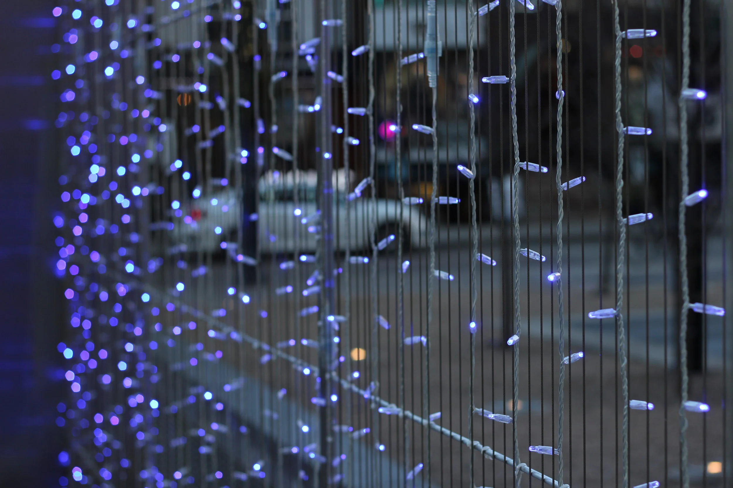 Megs Rediscovers Toronto: City Christmas Decorations Edition 