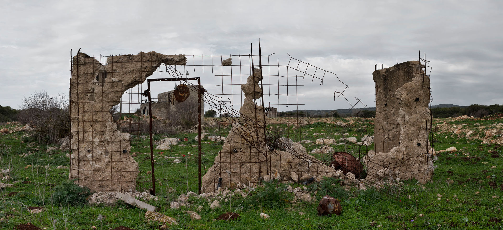 Eliakim Israel, 2008