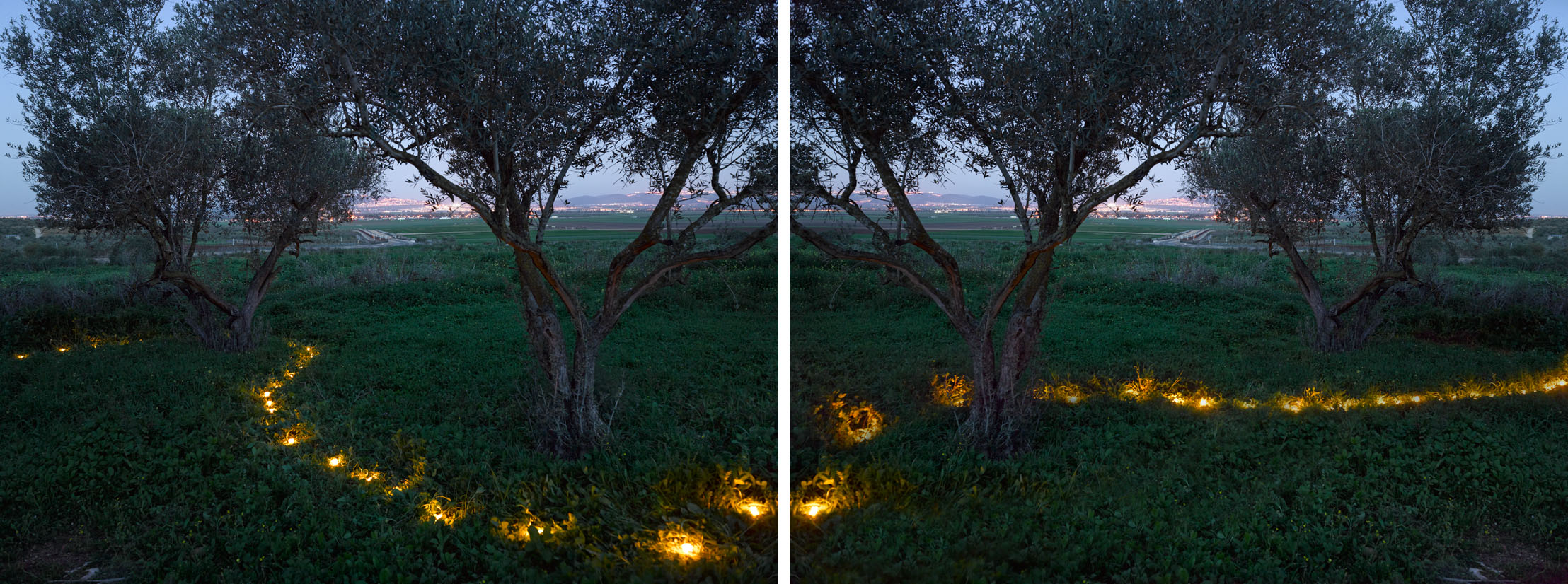 Separation Fence, 2015
