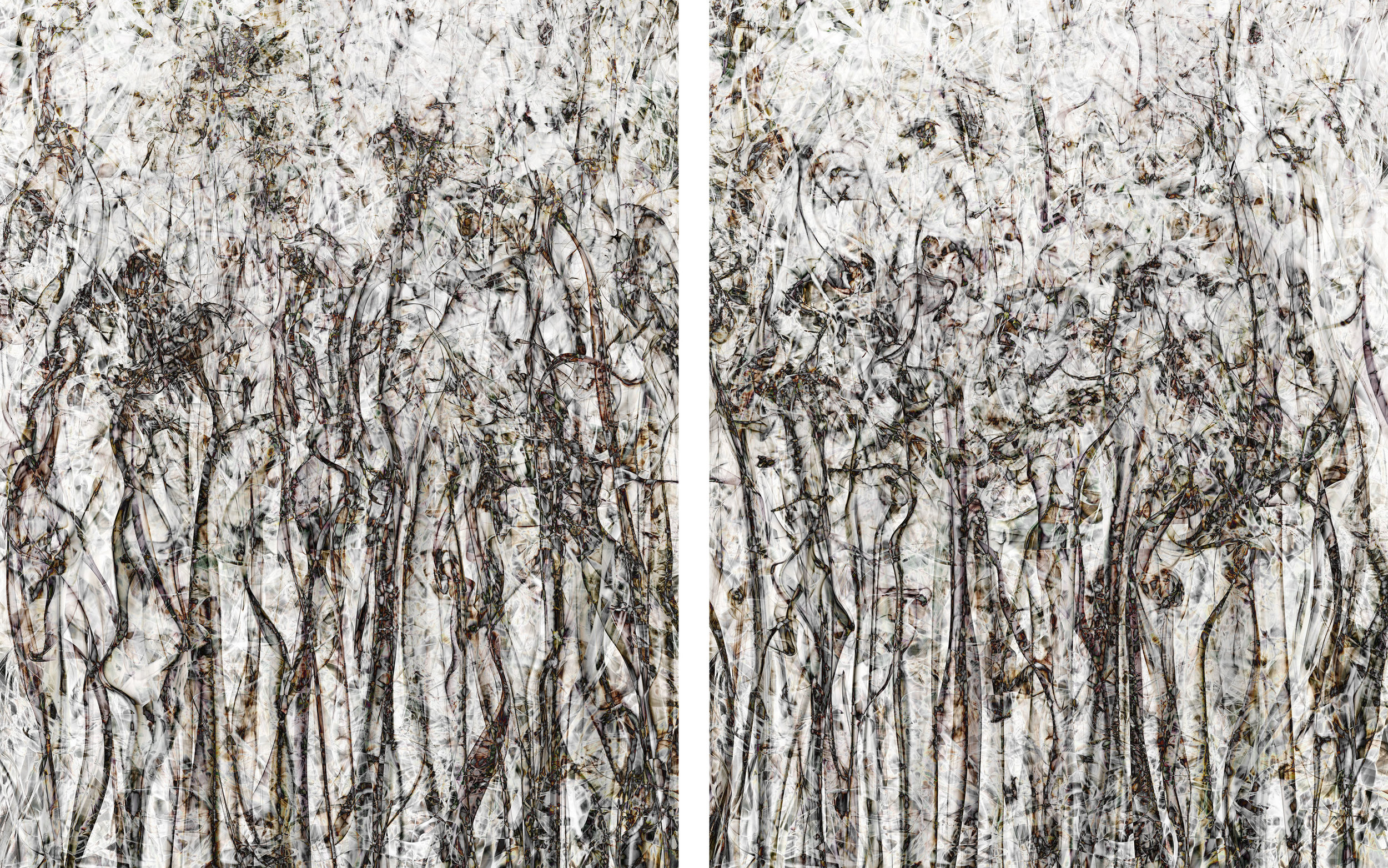 Perception#25(Diptych), 2018