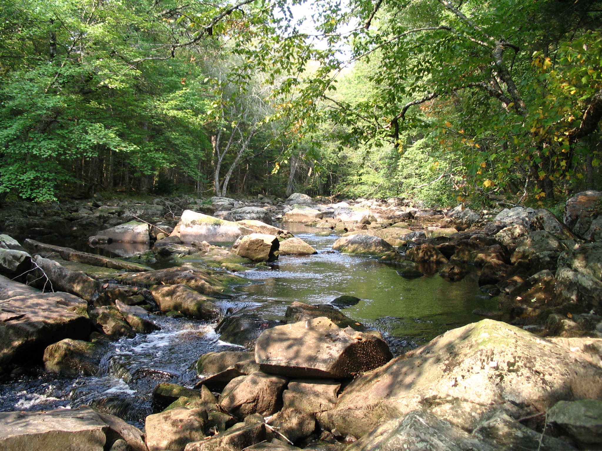 The River — Little River Watershed Association