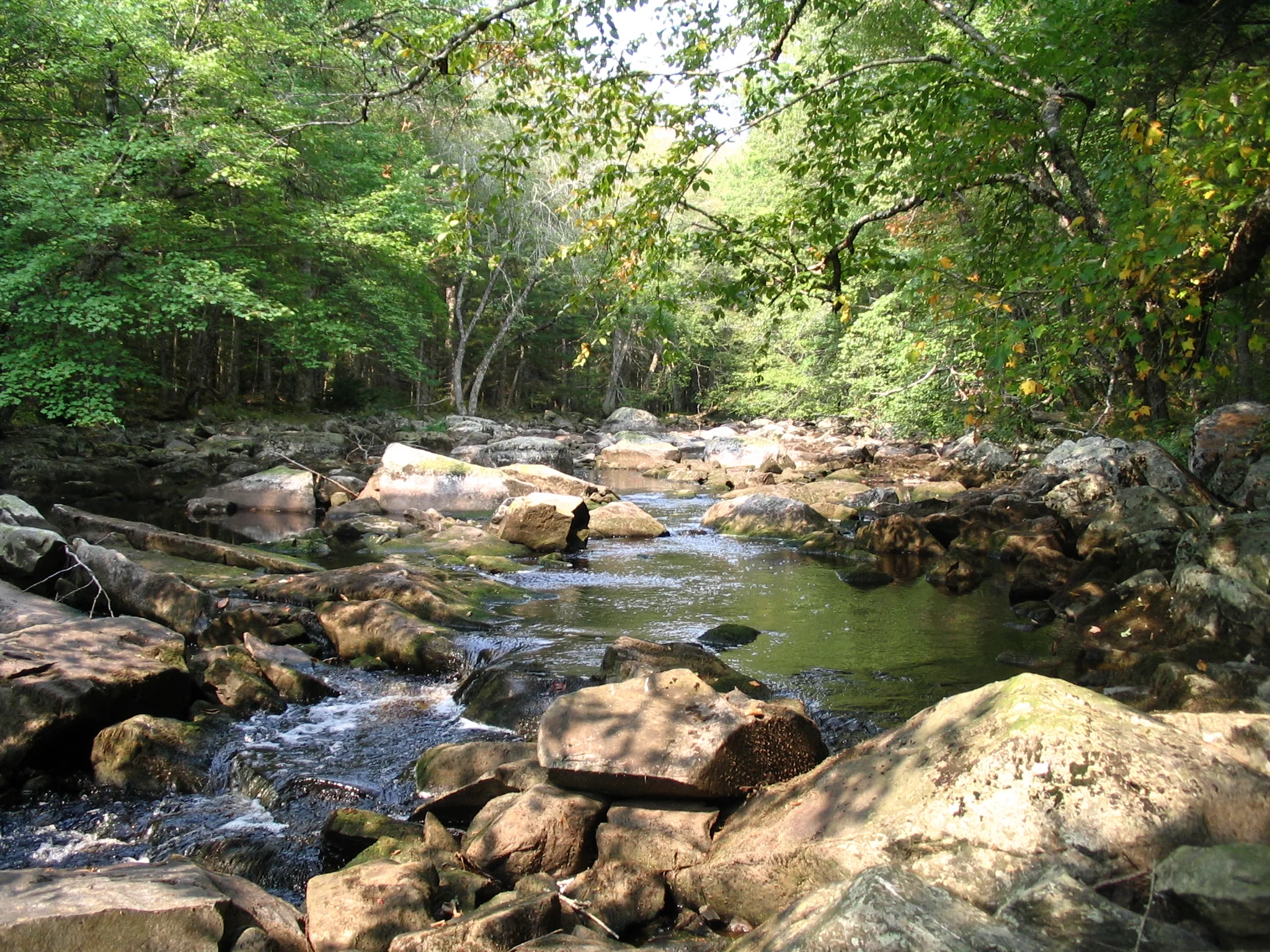 The Little River in the Great Smoky Mountains National Park