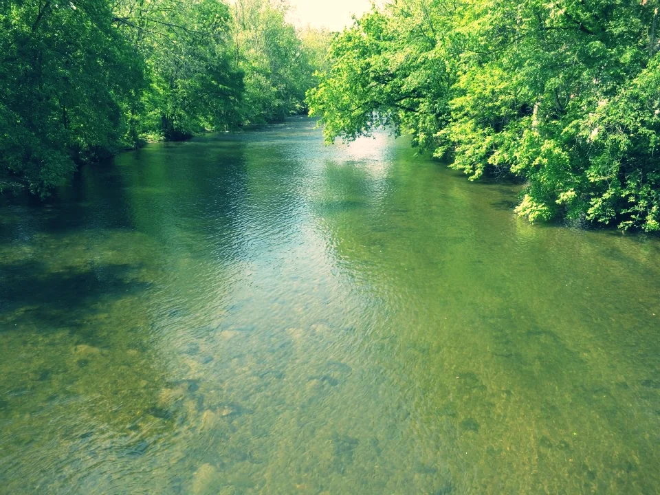 Little River Watershed Association