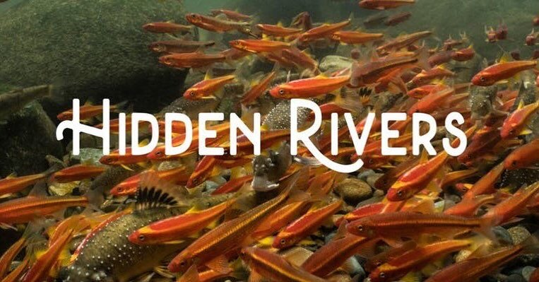 Have you seen Hidden Rivers yet, the documentary from Freshwaters Illustrated about the amazing and biodiverse waters of Southern Appalachia? Well if not, you are in luck, because there is TWO chances for you to catch Hidden Rivers this week!

You ca