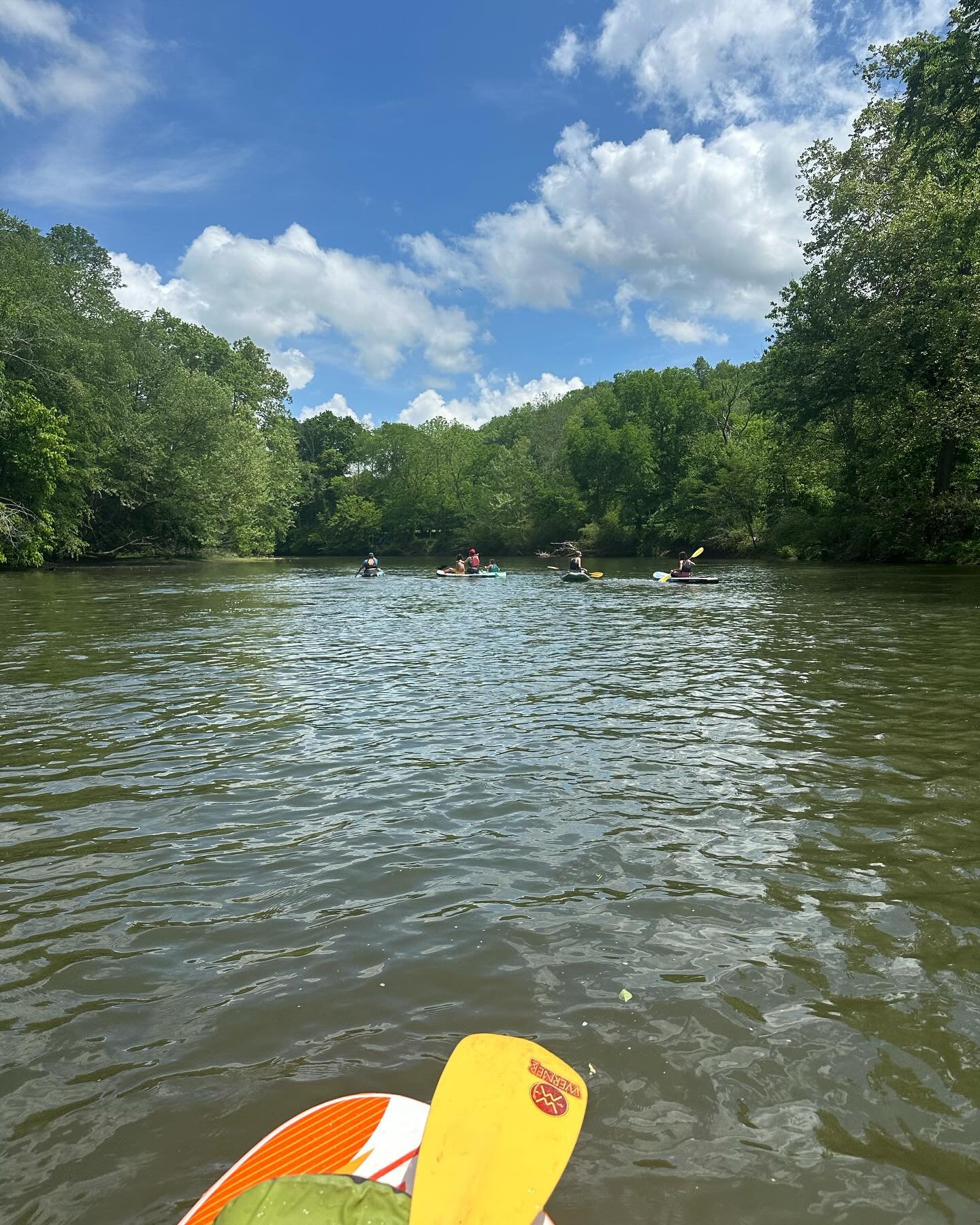 This watershed Wednesday we want to talk about something we are blessed with a lot of in the Little River watershed, which is wildlife biodiversity!

Recently, on a weekend paddle down the Little River, some of our board members (as seen in the first
