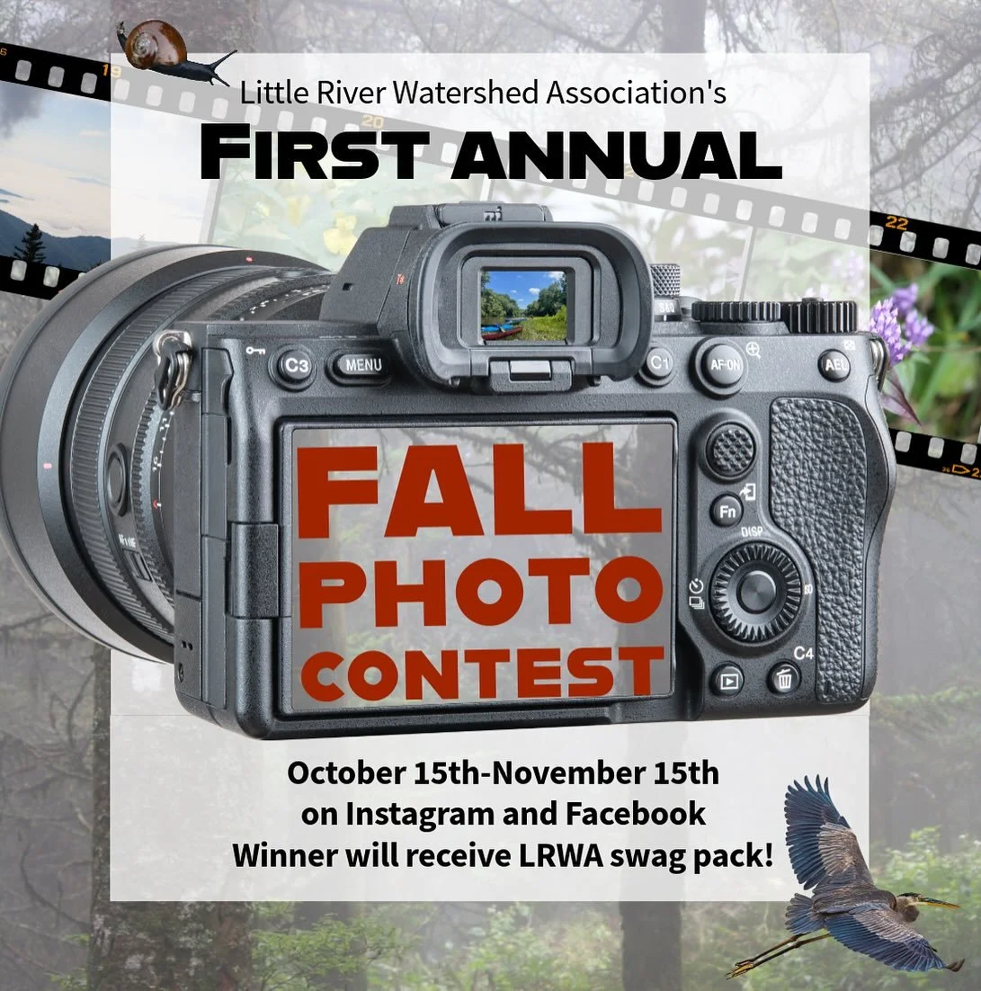 Mark your calendars, we are having a photo contest during East Tennessee&rsquo;s most popular time of the year! We are ready to see how y&rsquo;all capture our beautiful fall colors.

To enter:

Follow us on Instagram and/or Facebook (whichever you u