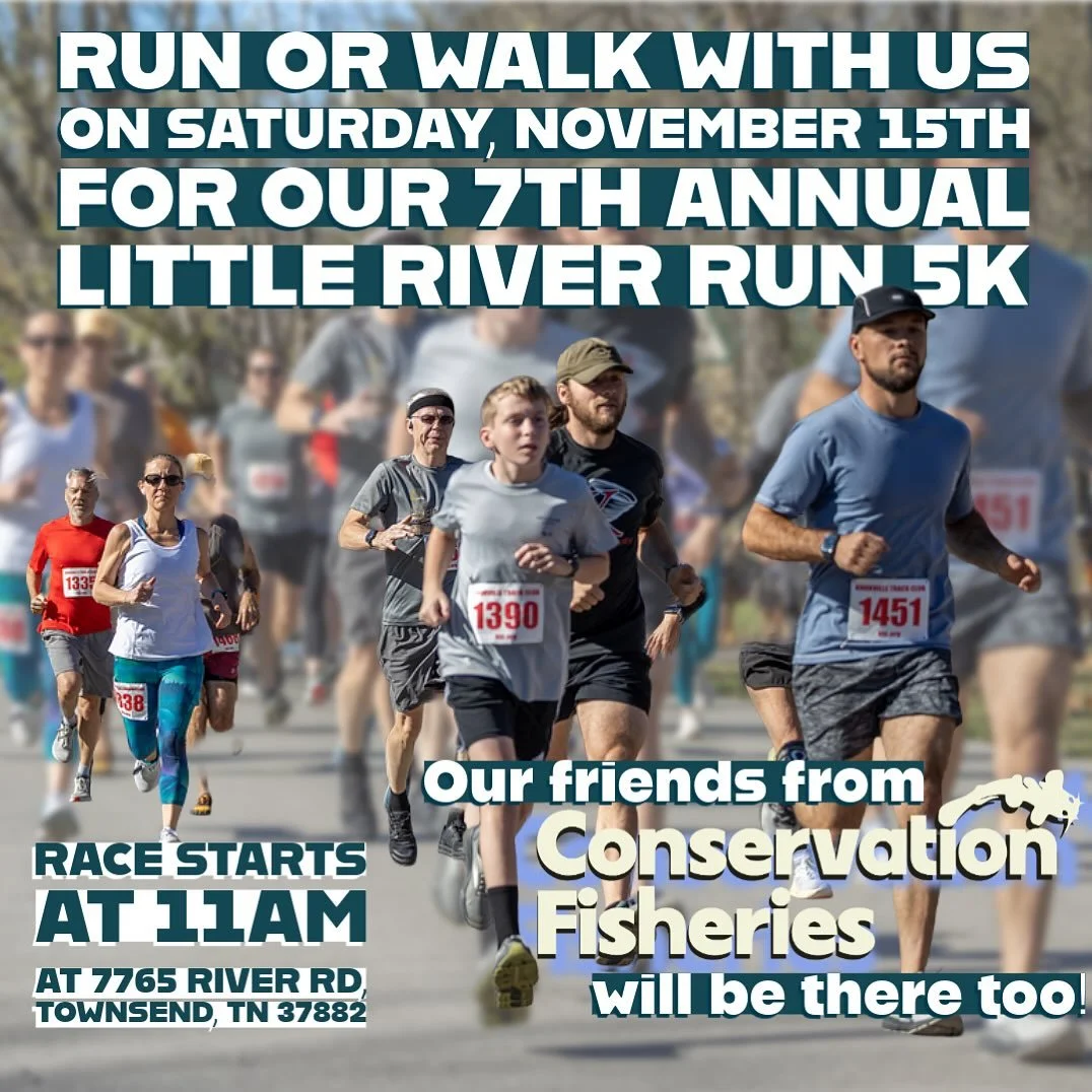 Sign up for the 7th annual Little River Run 5k🏃&zwj;♀️

The 5k Run (or walk) is on Saturday, November 15th, at @thetownsendabbey once again.
Sign-ups are still open. Be sure to register before November 9th before price increases.

Little River run 5