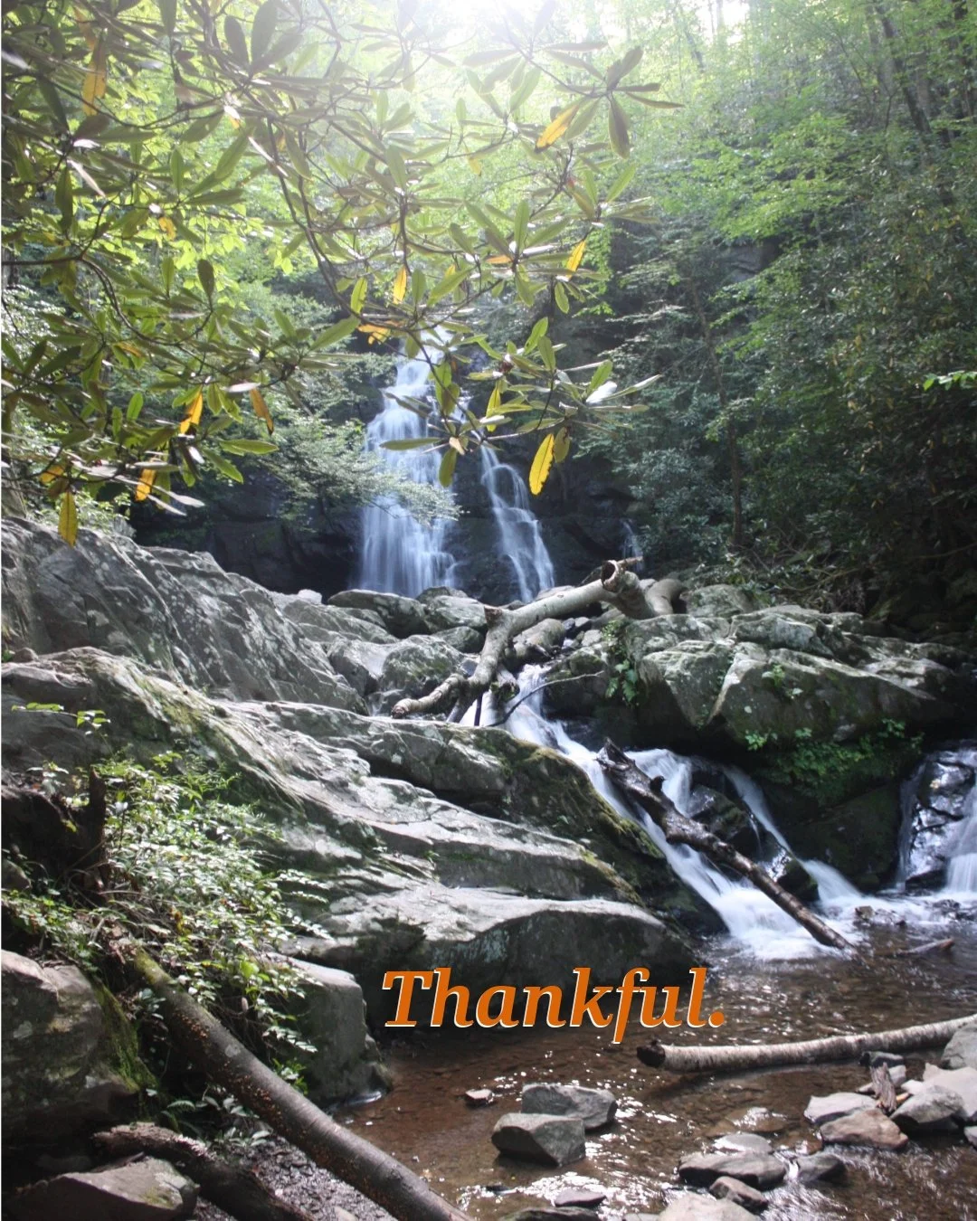 We are beyond thankful to have the privilege to use, protect, and play in the Little River Watershed and its 640 miles of aquatic passageways. 

On this day we need to acknowledge that Little River Watershed lies within the historic boundaries of the