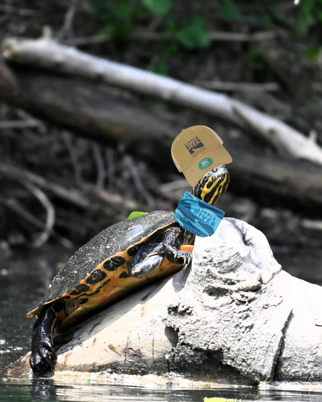 This Black Friday skip the mega corporations and give back to an organization that is active in your community (and get the best gear like ever).

We got hats, koozies, stickers, t-shirts, sun protection, you name it. Mayhaps you want to become a fri