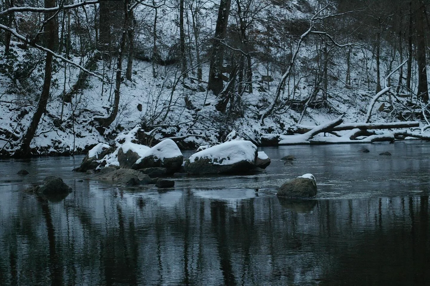 Winter is here! ☀️🪾🌨️
Yesterday was the winter solstice, which is the shortest day of the year. This is great because that means the days are officially getting longer!
Winter is an awesome time of year to get outside in the Little River Watershed.