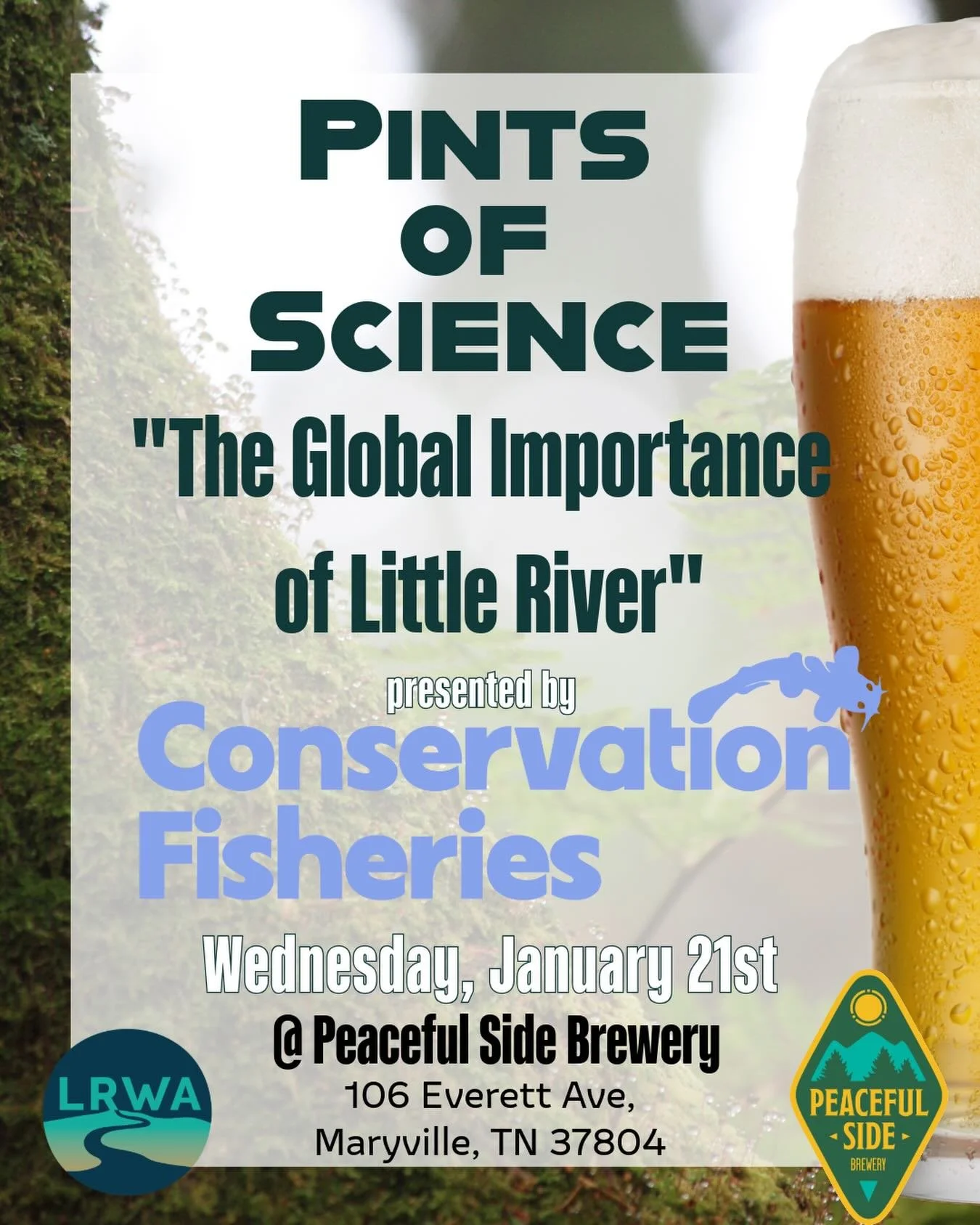 Reminder🚨‼️🔔
Pints of Science THIS WEDNESDAY!
Stop by @peacefulsidebrewery from 6-8pm in Maryville to learn about our Little River from the knowledge folks at @conservationfisheries 

🫡we will see you there