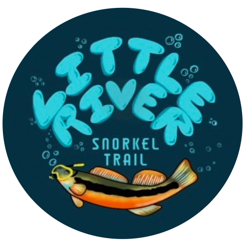 Little River Snorkel Trail Public Input Meeting