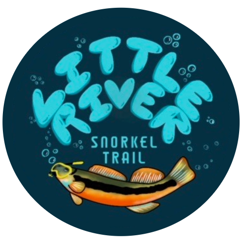 Little River Snorkel Trail Public Input Meeting