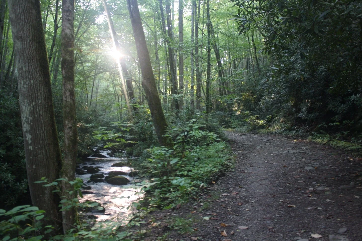 Happy Daylight Savings! ☀️ 
What are you going to do with an extra hour of sunlight? 

𓆝 𓆟 𓆞𓆝 𓆟 𓆞𓆝 𓆟 𓆞𓆝 𓆟 𓆞𓆝 𓆟 𓆞𓆝 
#littleriver #watershed #spring #outdoors