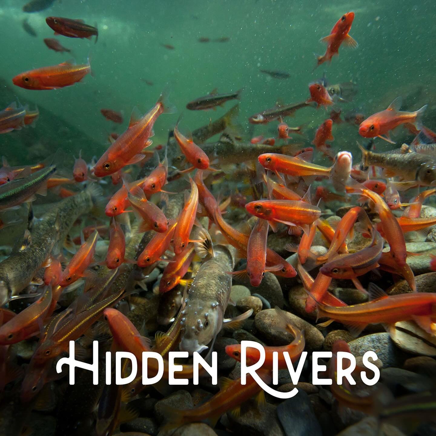 Movie in the park tonight!! Show starts at 8pm. We are showing our own short film followed by Hidden Rivers! @freshwatersillustrated 

Come on at 6:30pm and join us for the community cookout!

Location: Maryville Amphitheater Park 283 W Lamar Alexand