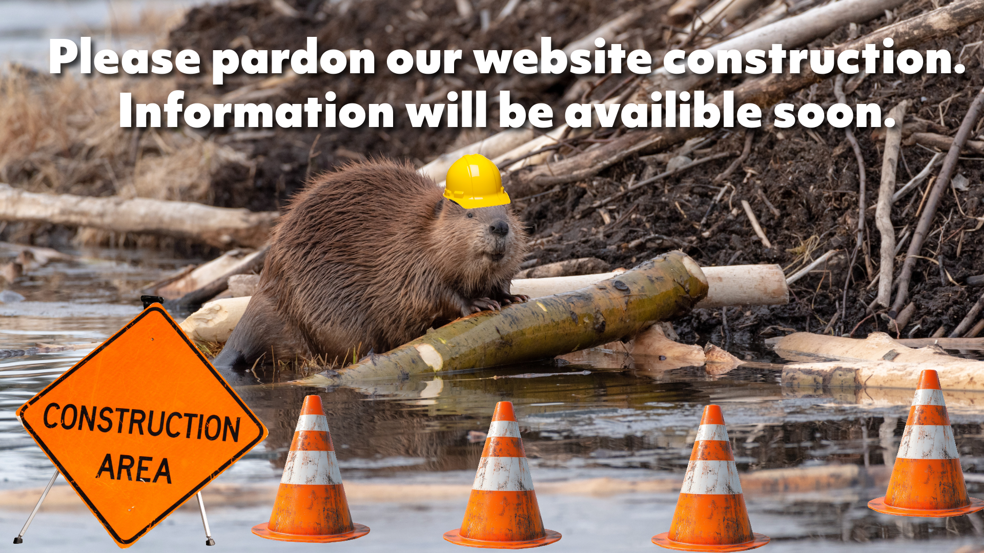 Please pardon our website construction. Information will be available soon.