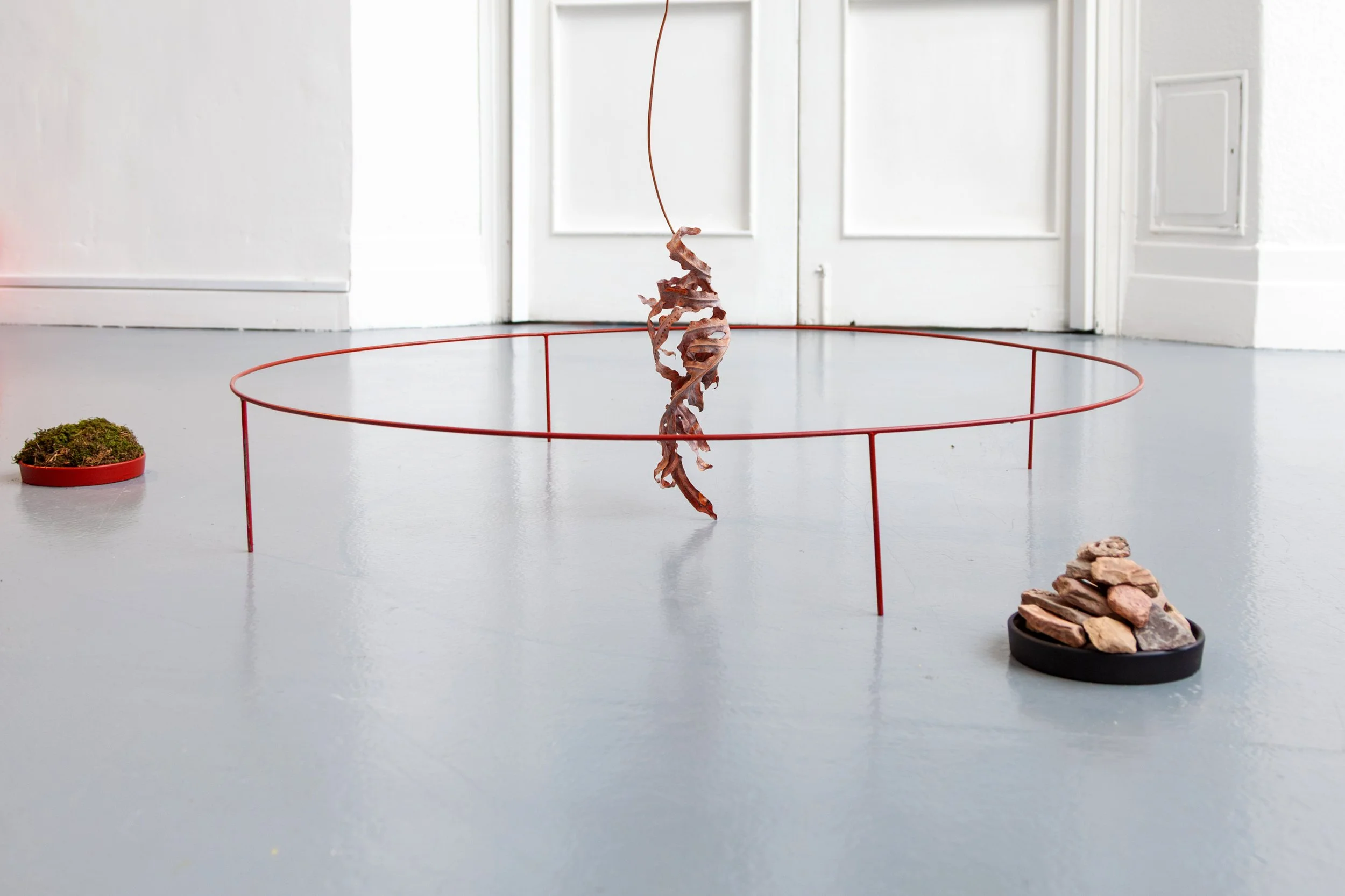 Elaine Grainger - Moving Through Things - 1.jpg