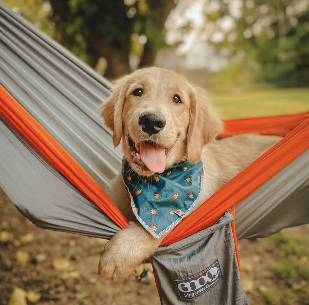 Boris Bandanas