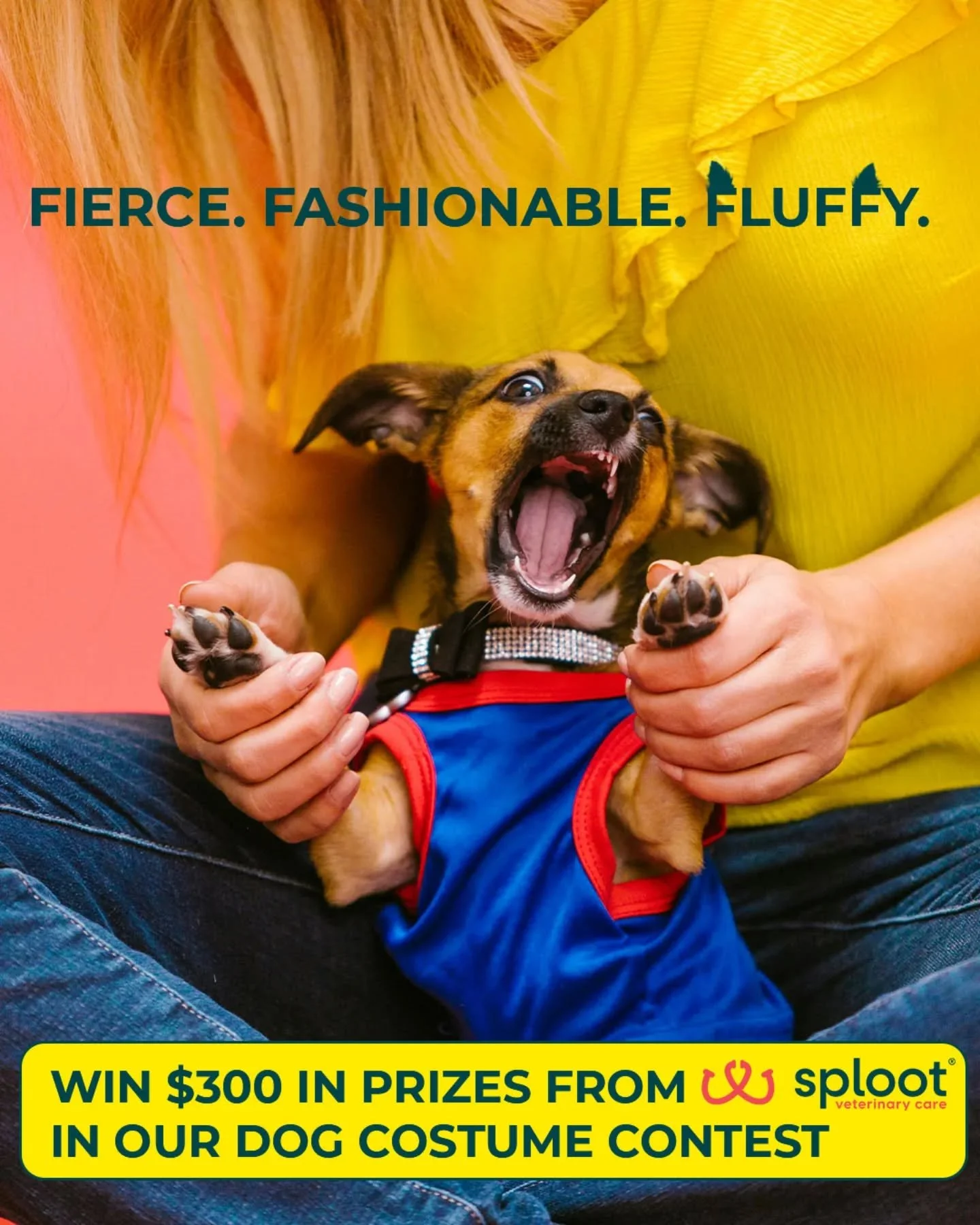 Sign up in our bio, take home some prizes worth barking about from @splootvets 🦴😍