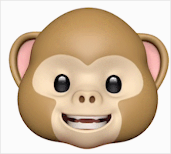 IMG_0146.TRIM 2_1.gif