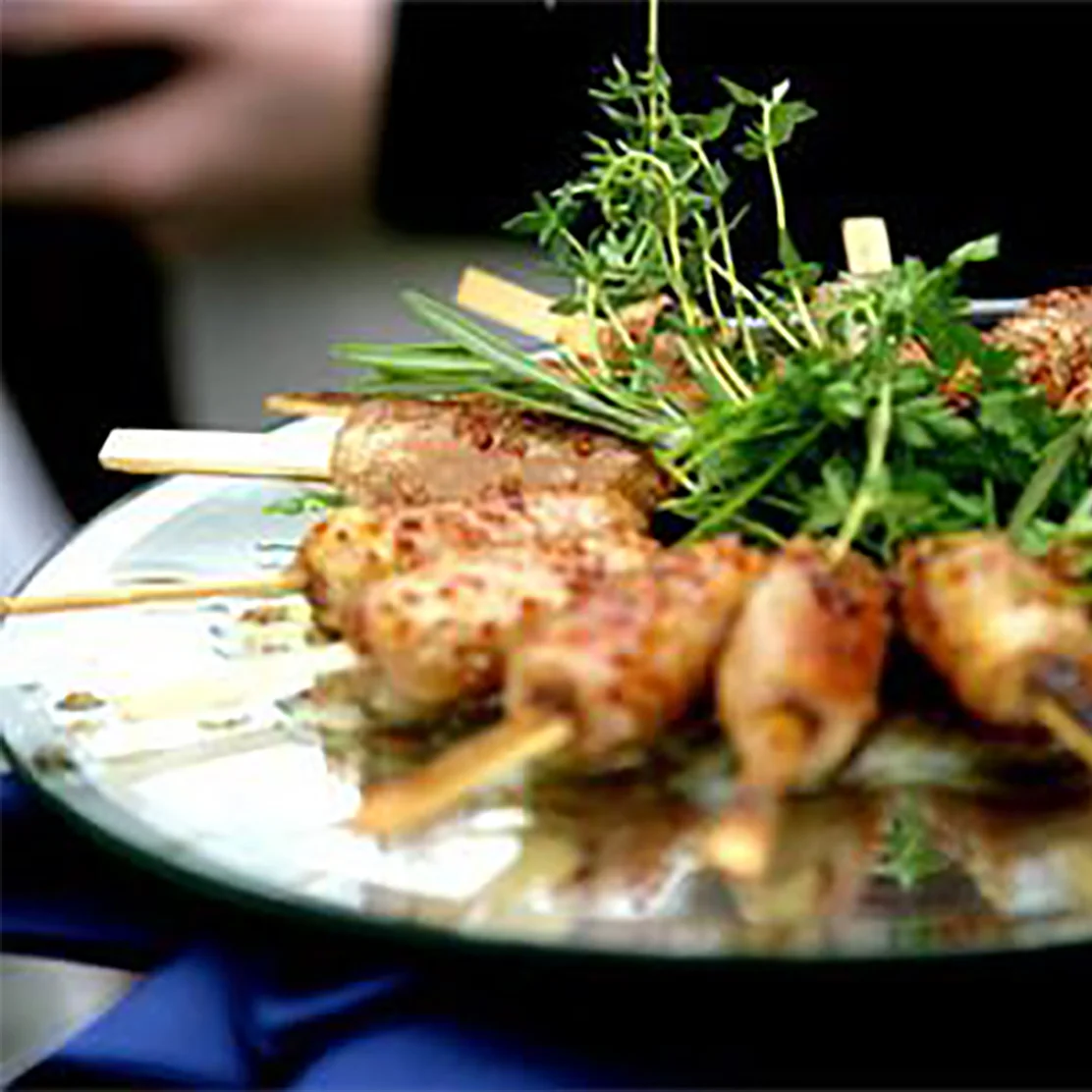 caterinng appetizers 1.jpg