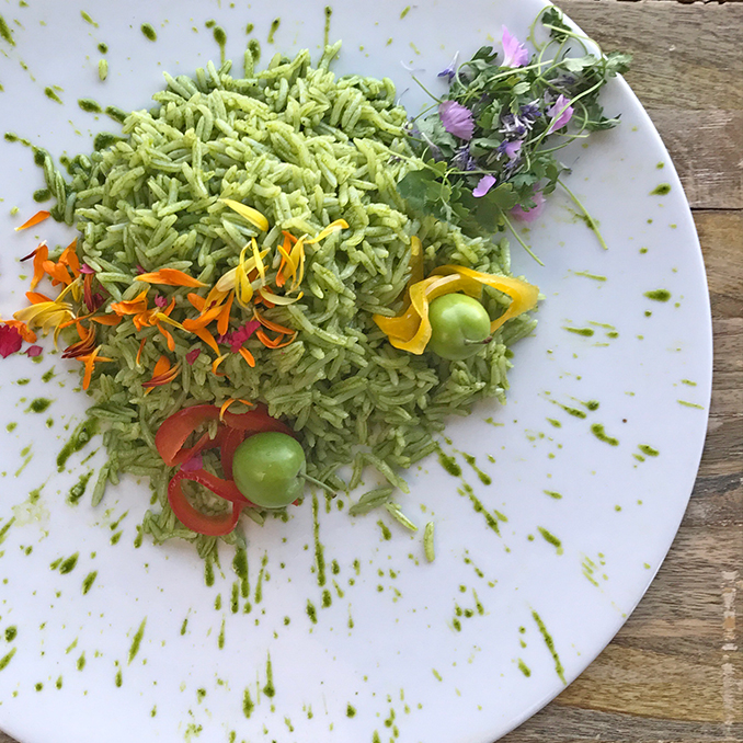 cilantro rice togo.jpg