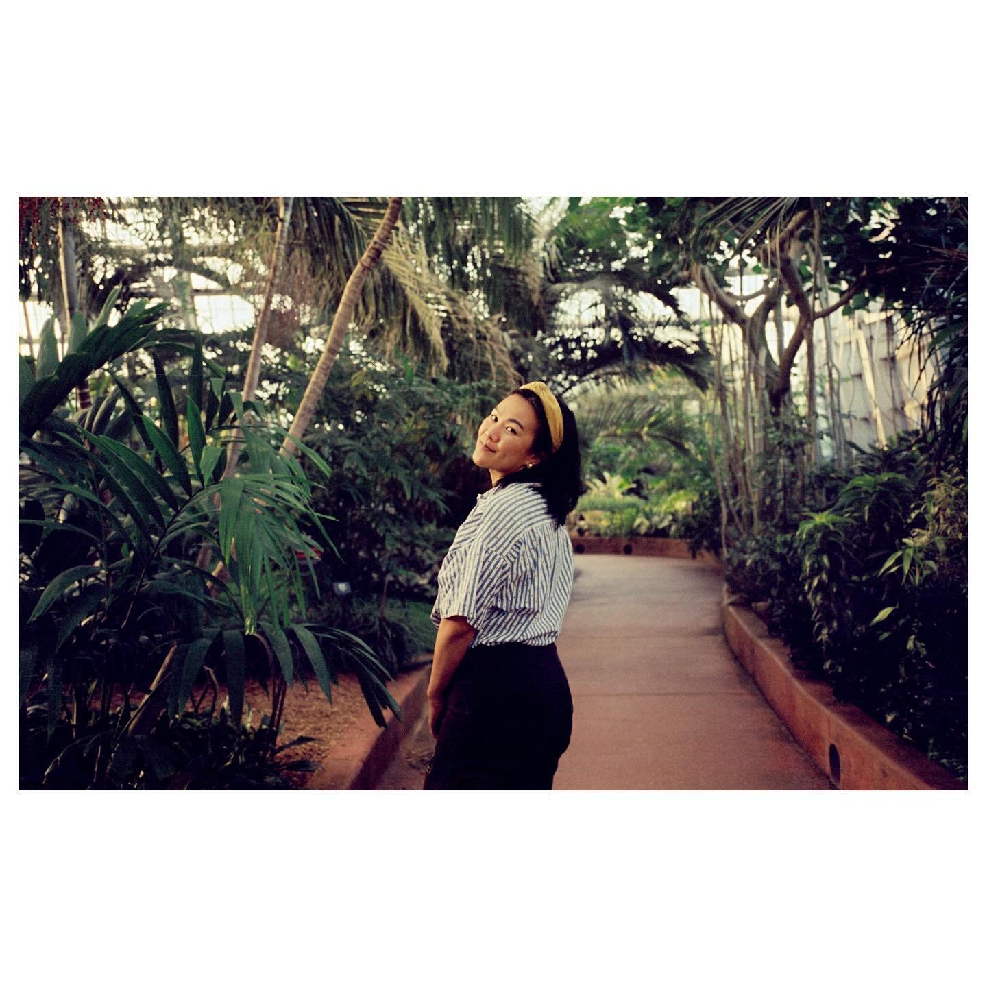 Conservatory on ECN2 film. 🎞️: @midwestfilmcompany 🧪: @bellowsfilmlab