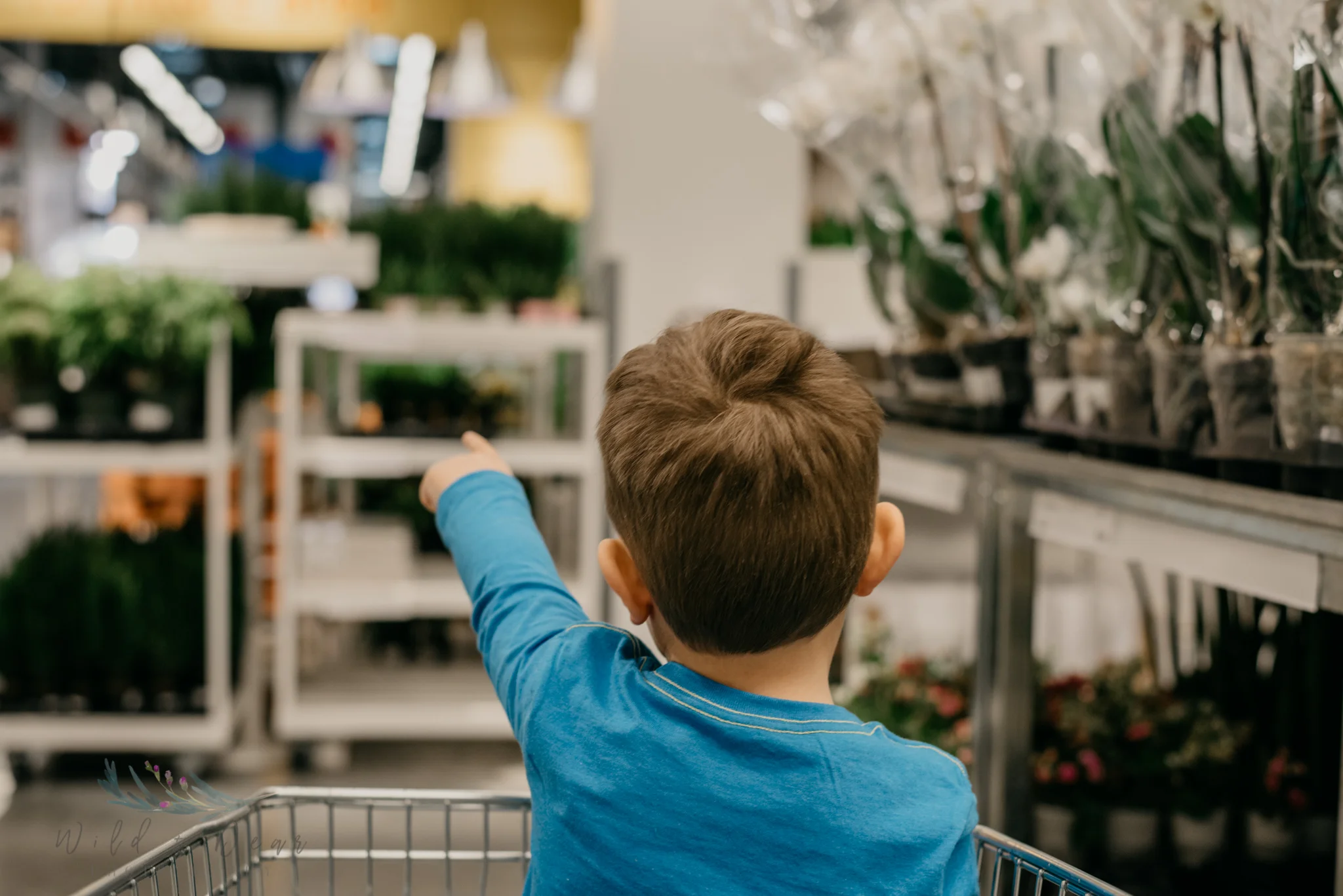 miloikea-36.jpg