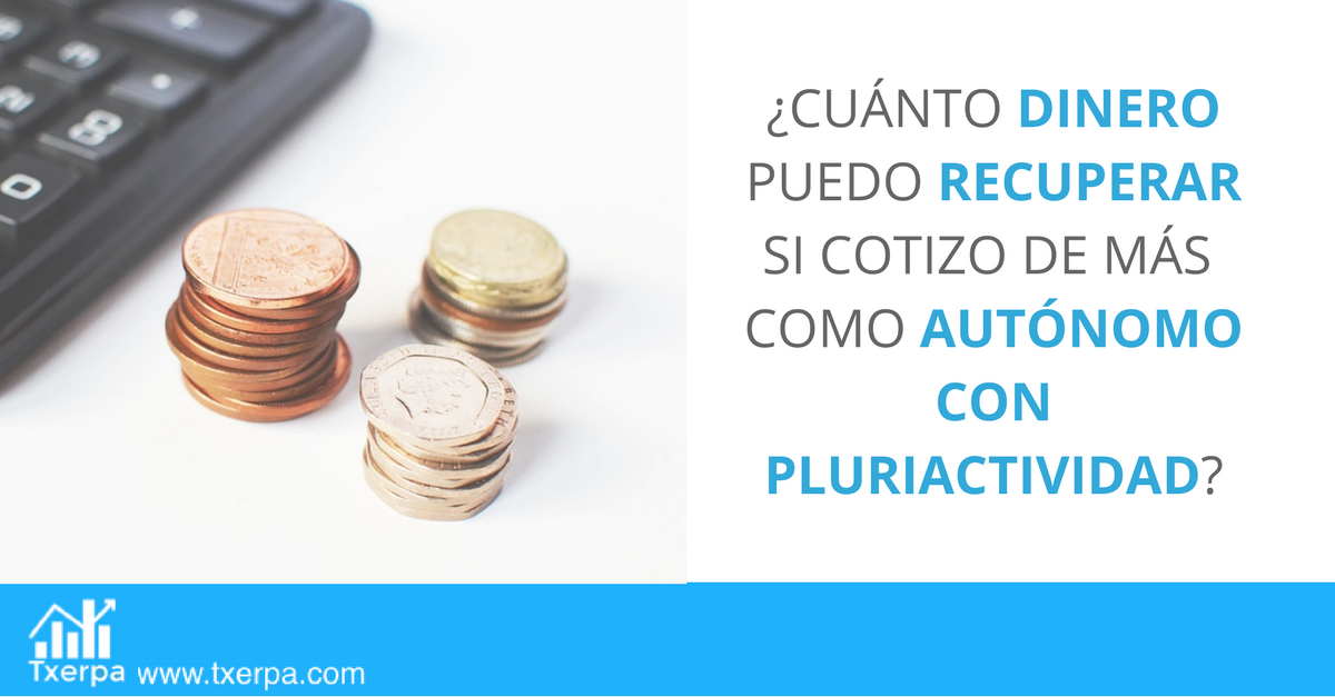 devolucion_autonomo_pluriactividad_txerpa.png