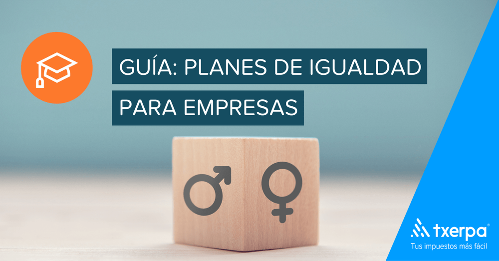 Plan de Igualdad | GUÍA Fácil para Empresas — Txerpa