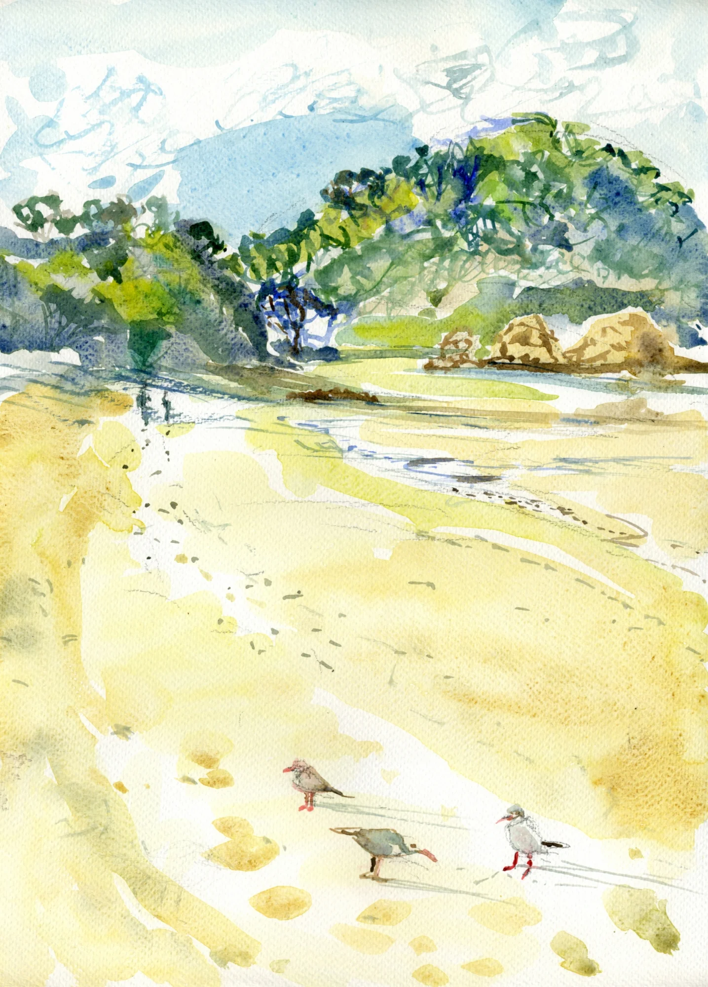 Mataturi Beach.jpg