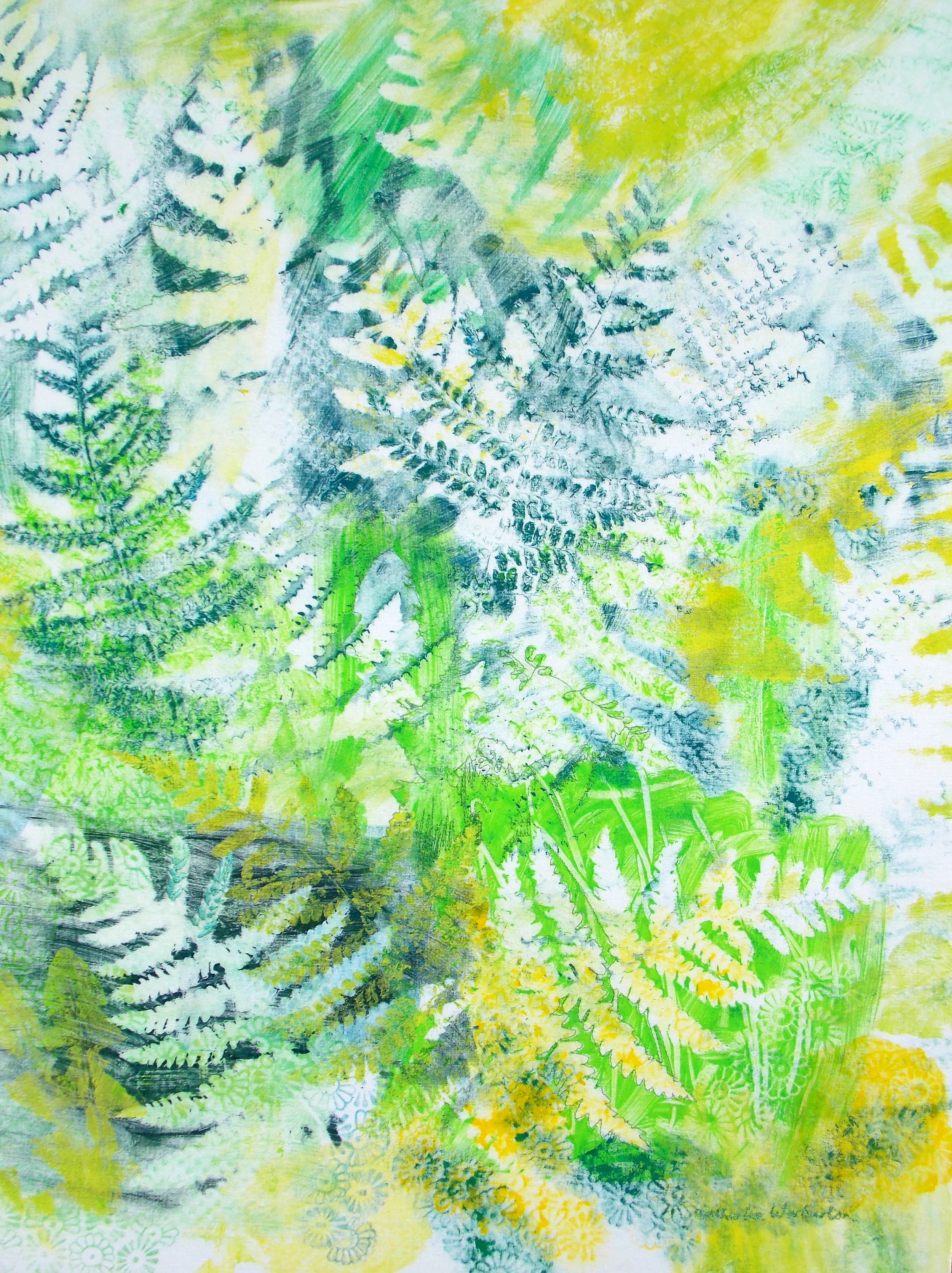 Ferns