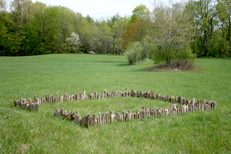 castor-canadensis-provokas.jpg