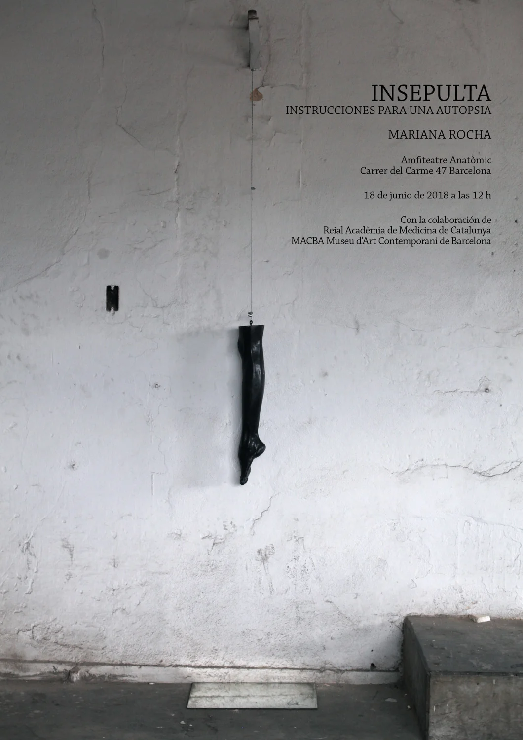 Performance “Insepulta - Instrucciones para una autopsia" by Transart Alumna Mariana Rocha