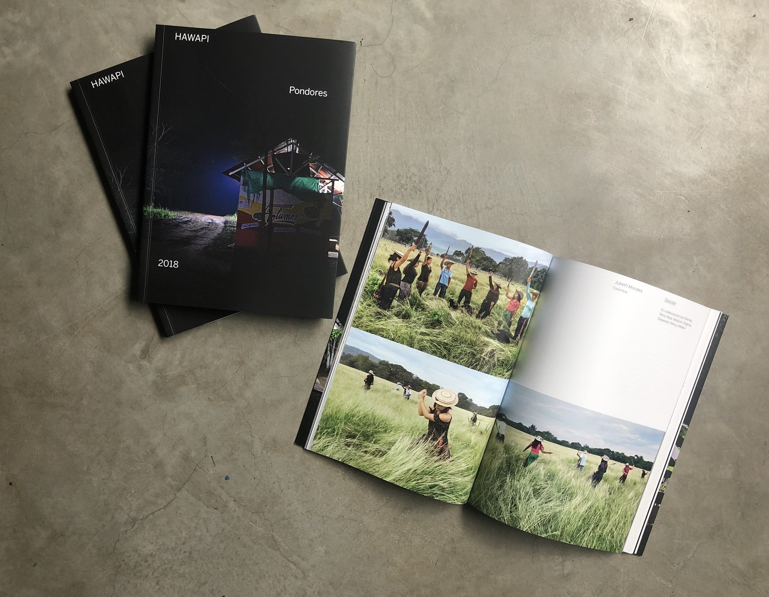 Publication HAWAPI 2018 - Pondores