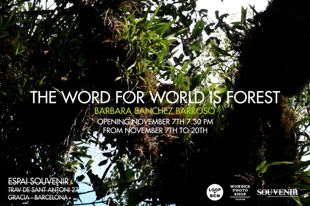 The Word for World is Forest | LOOP Video Art Festival