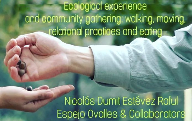 Transart advisor Nicolás Dumit Estevez Raful Espejo Ovalles presents Growing a Green Heart