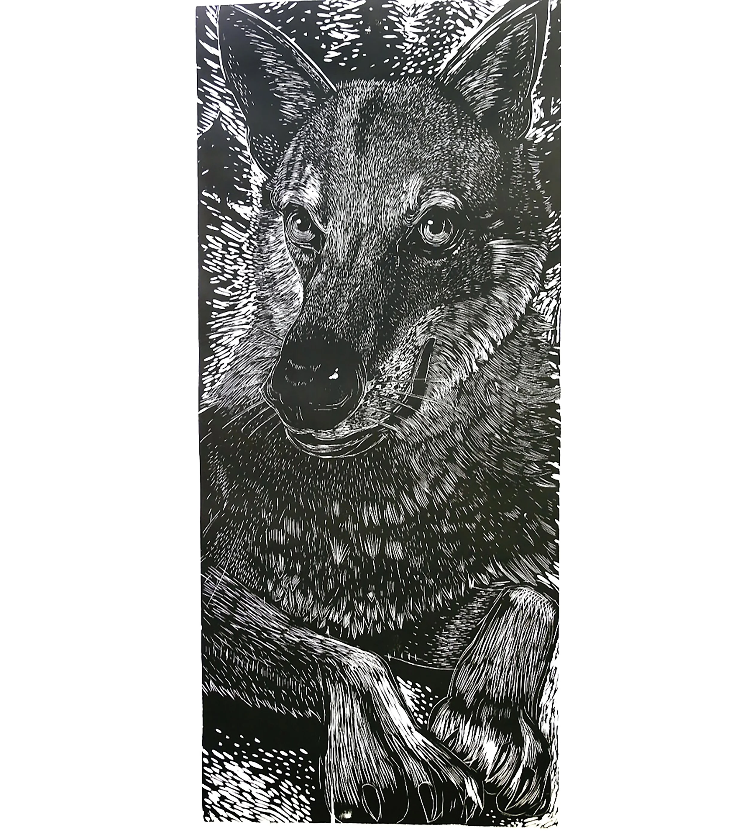 Carlos Llerena Aguirre: Represented Peru in the International Douro Printmaking Biennial 