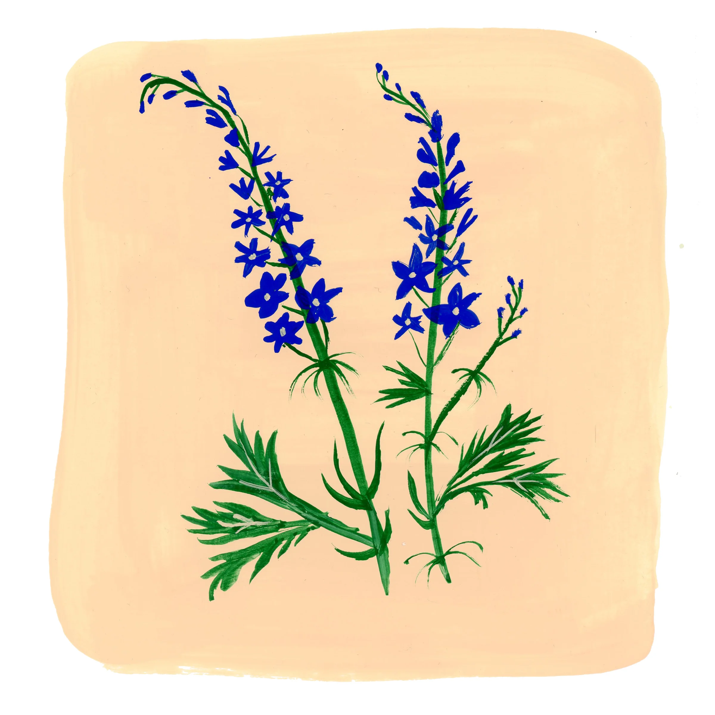 floral12_8x8.jpg