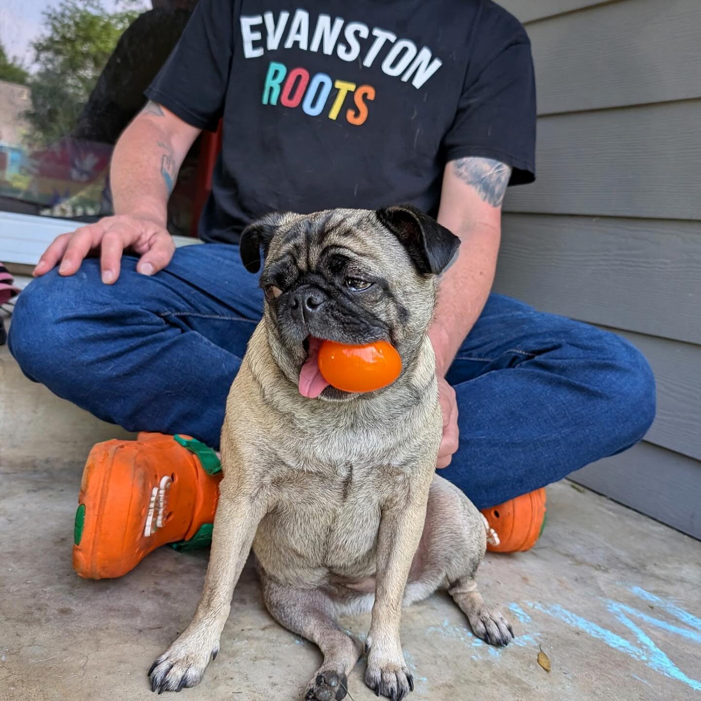 Evanston Roots with C.C. The Dog 
@bullsbard 
.
#evanstonroots #evanston #tshirtdesign