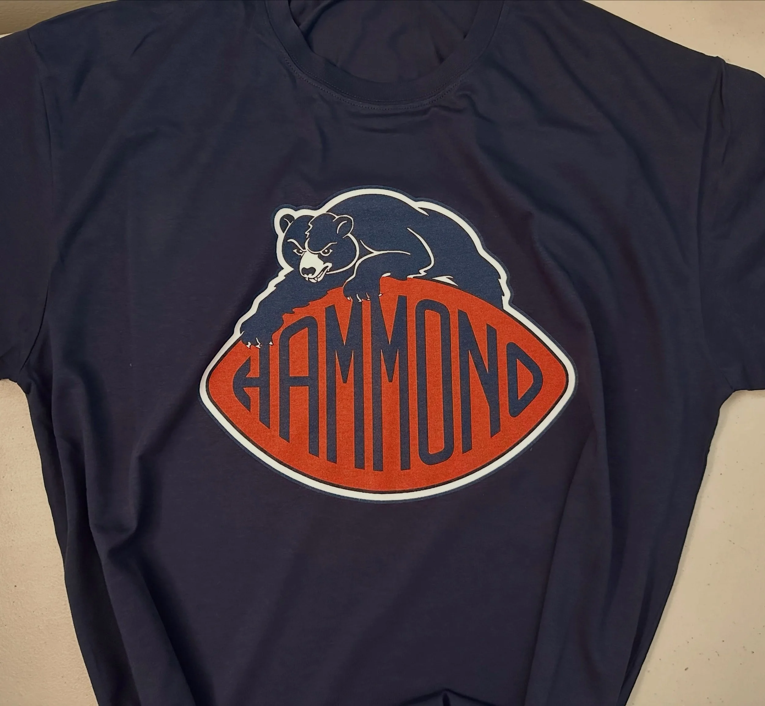 Hammond Bears
Navy Blue Tee
.
https://goaheadmerch.com/recent-additions/hammond-bears-tshirt