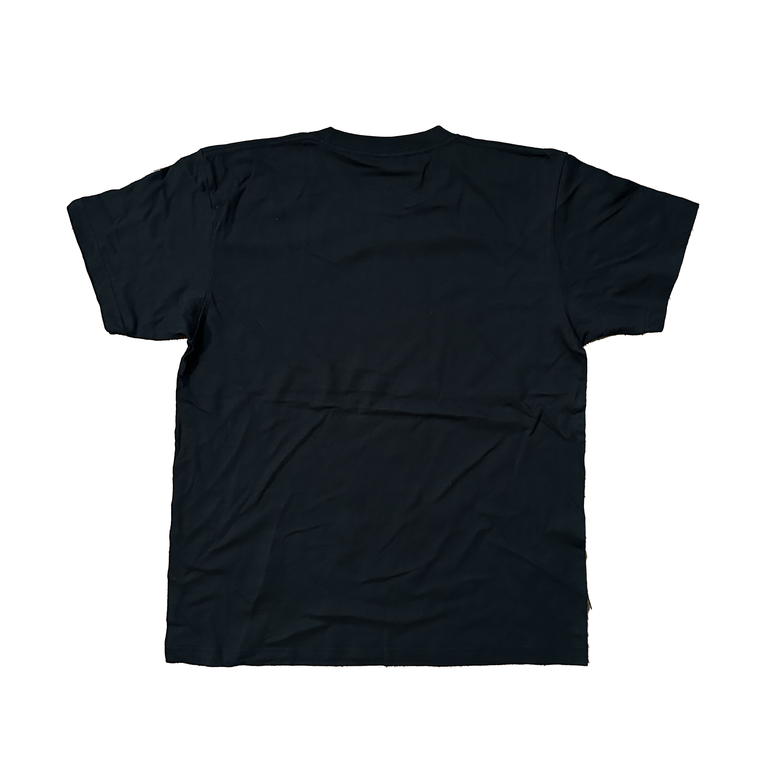 BHIC_DiamondsOnTheInside_Japan_Tour_2004_TShirt_Back.png