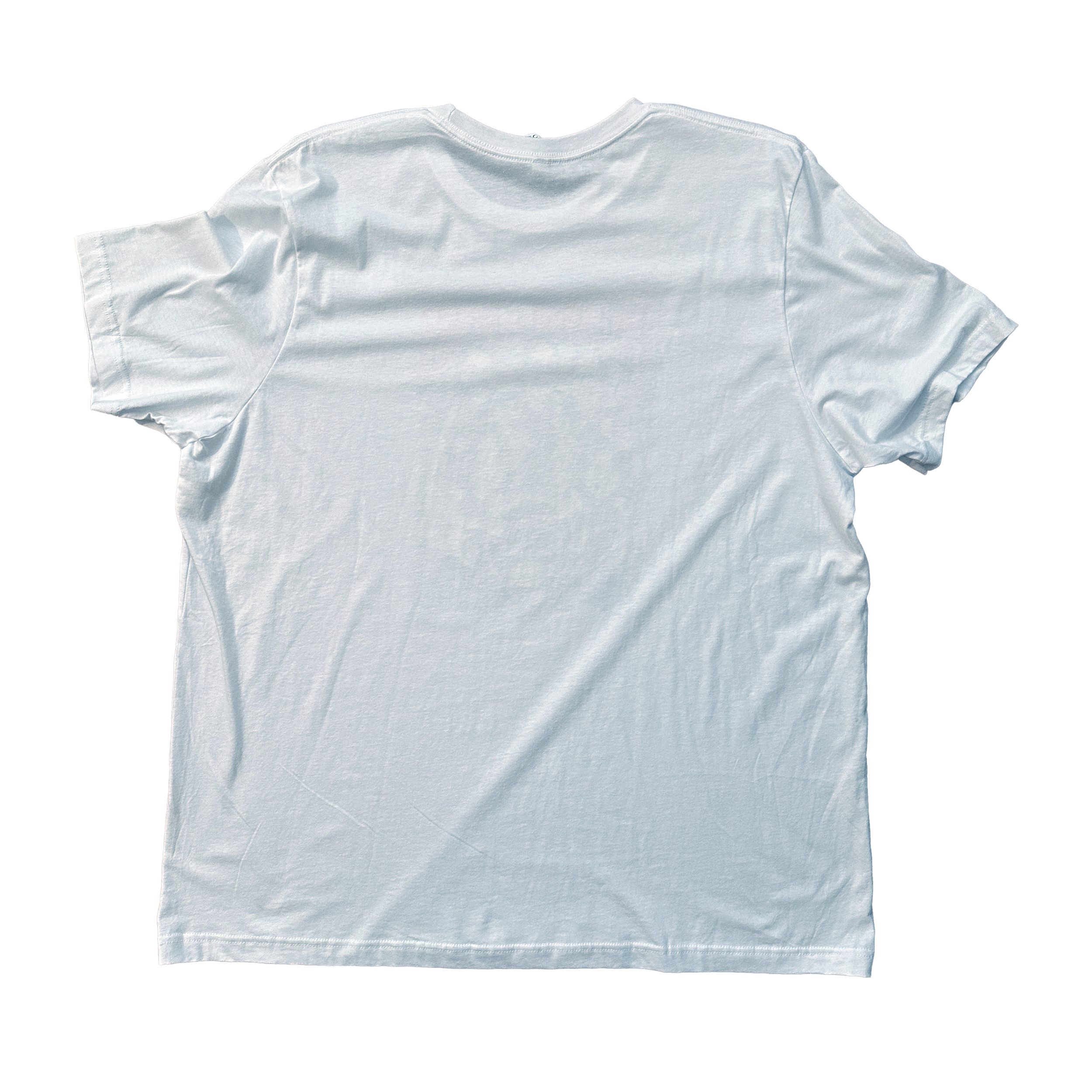 PearlJam_ChicagoBulls_Cartoon_2023_TShirt_Back.png