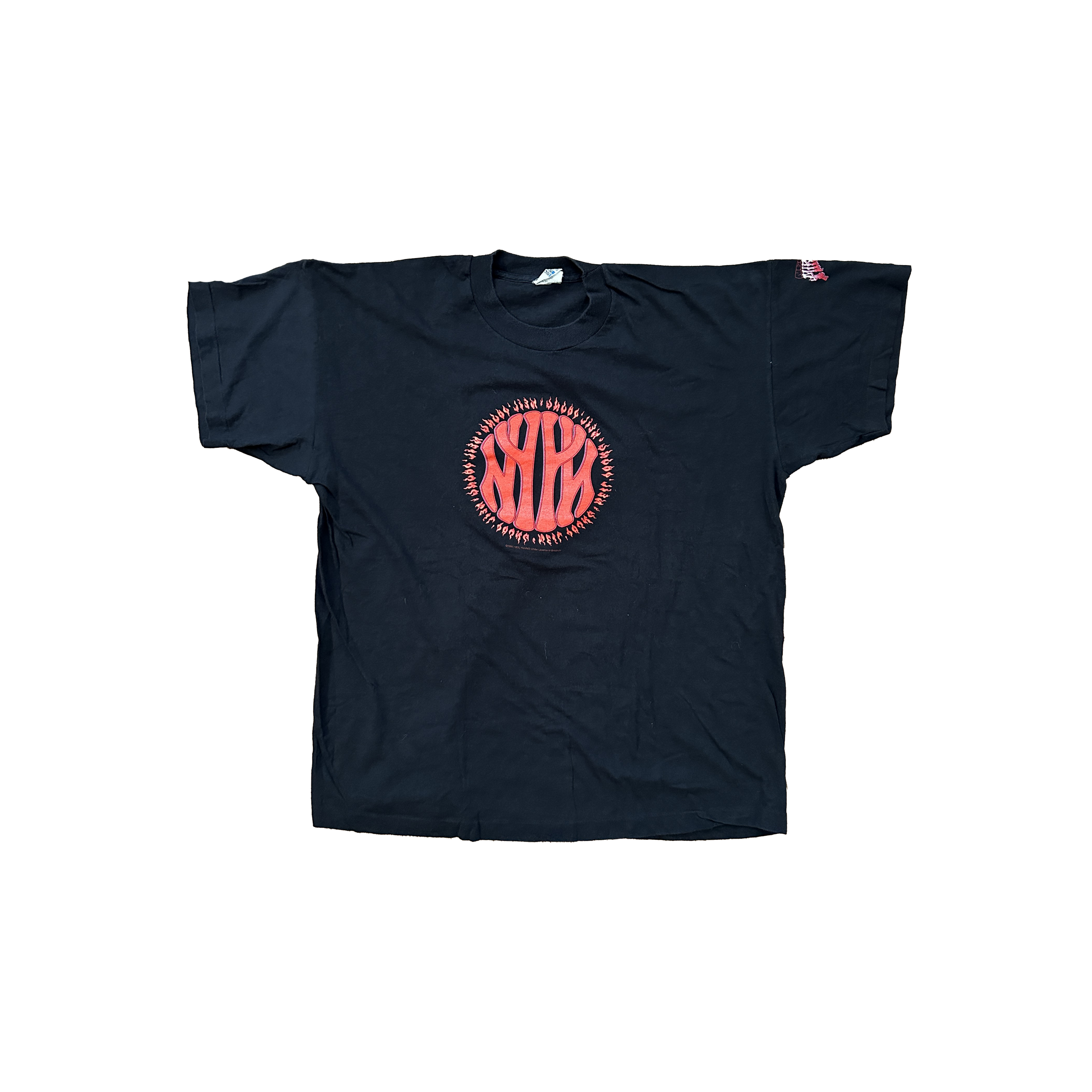 NeilYoung_PearlJam_MirrorBall_Tour_TShirt_Front.png